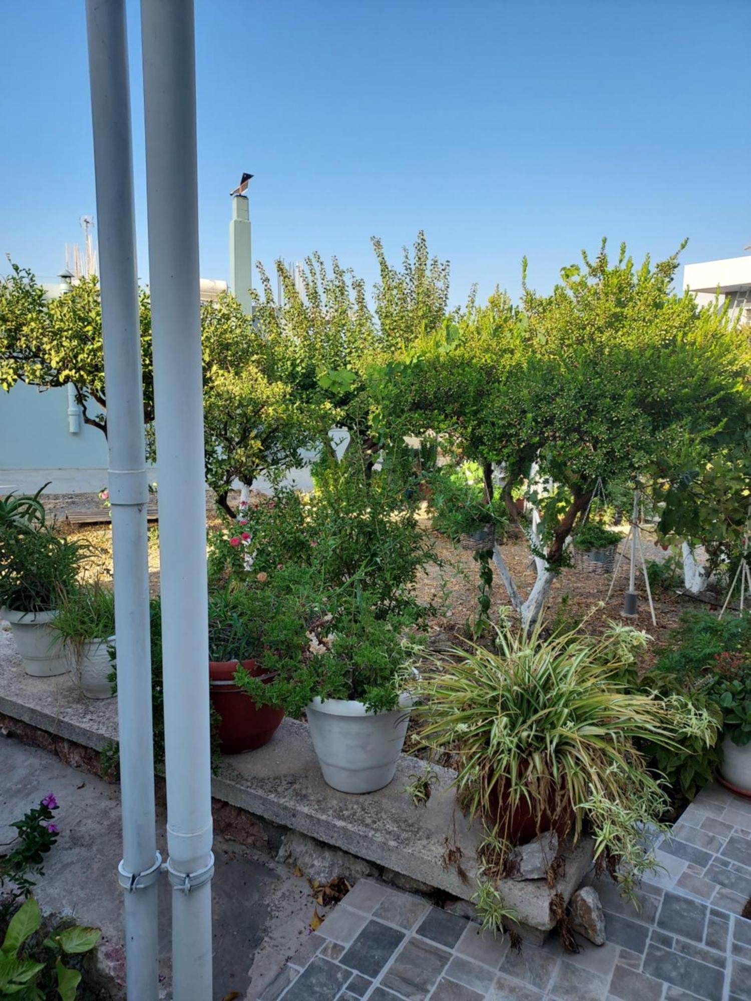 יאליסוס Anastasia'S Garden House מראה חיצוני תמונה